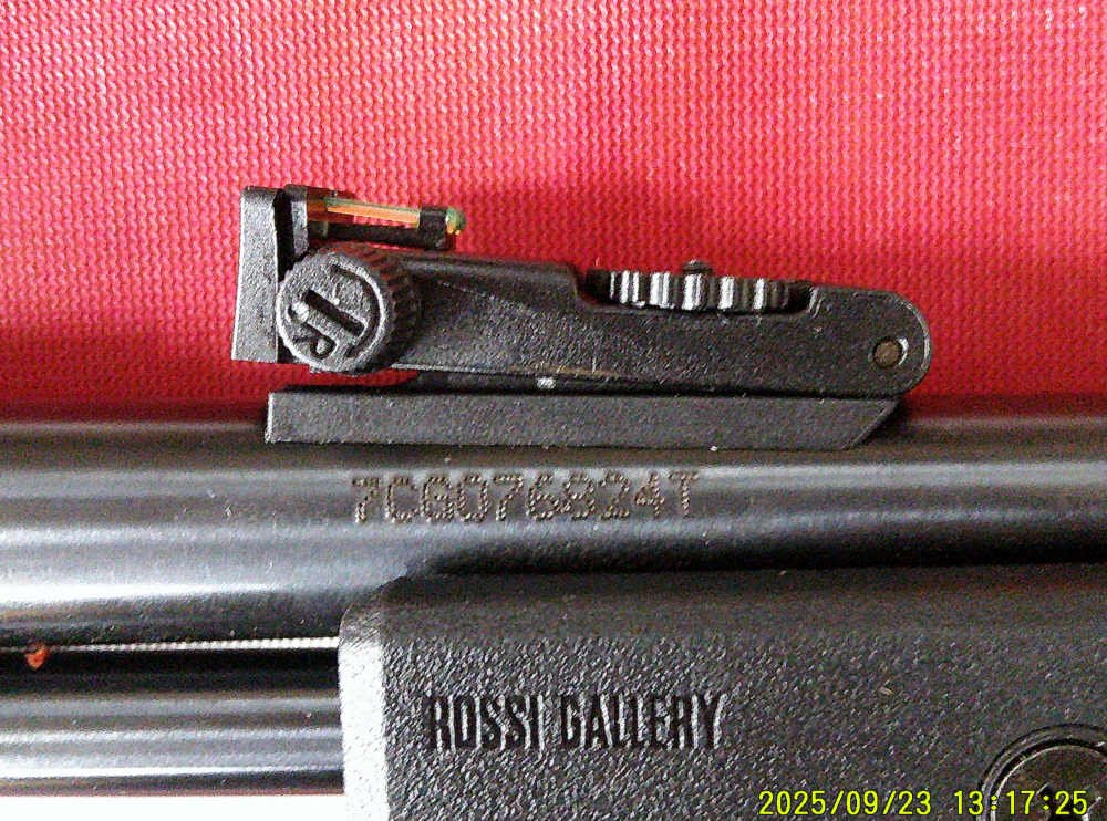Rossi Gallery .22WMR 20" Barrel Pump Action Rifle-img-4