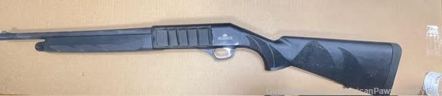 Dickinson 12 gauge Inertia semi-auto -img-1