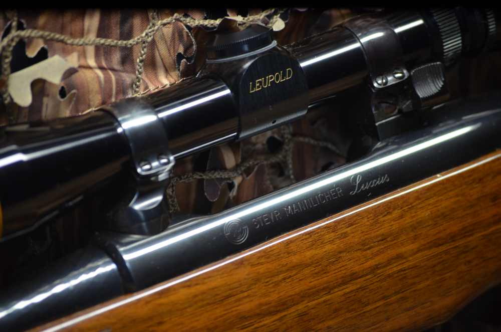 Steyr Mannlicher Luxus-img-5