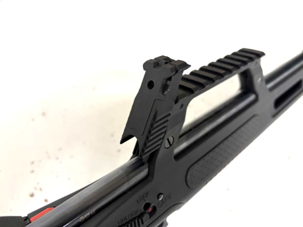 WALTHER G22   22 LR-img-19