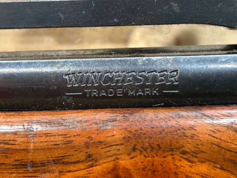 WINCHESTER MODEL 70  7MM REM. mag 29947-img-2