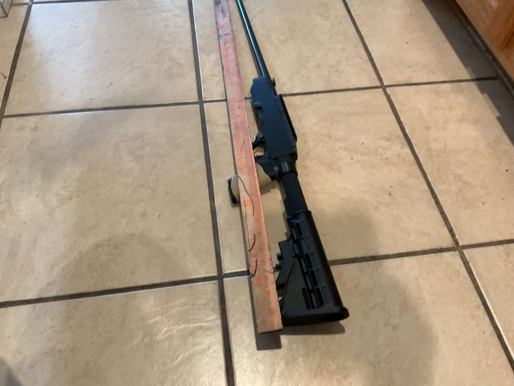 Ruger 19/22 polymer-img-1
