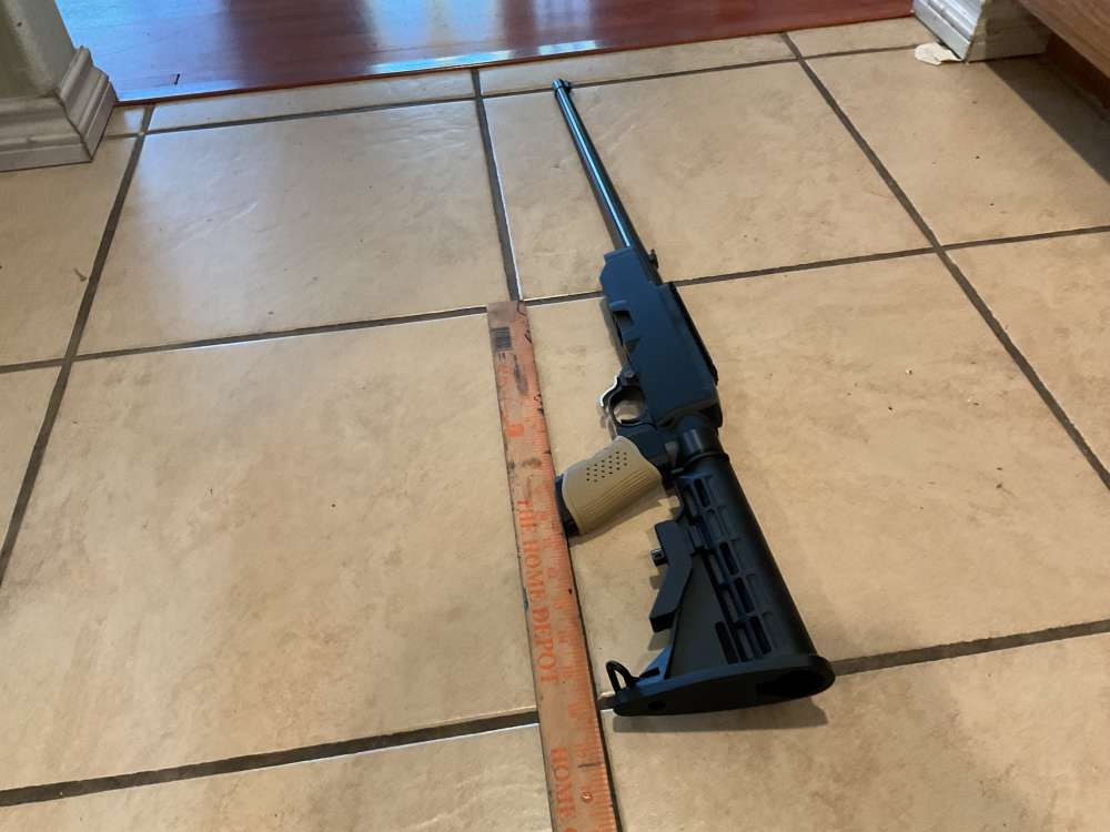 Ruger 19/22 polymer-img-2