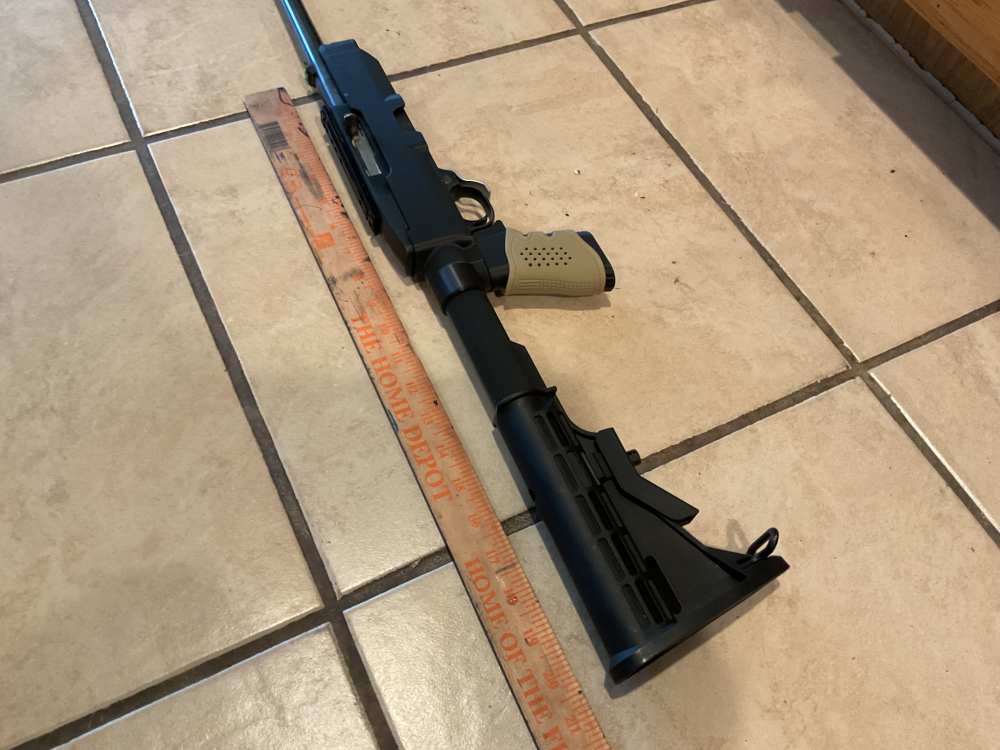 Ruger 19/22 polymer-img-4