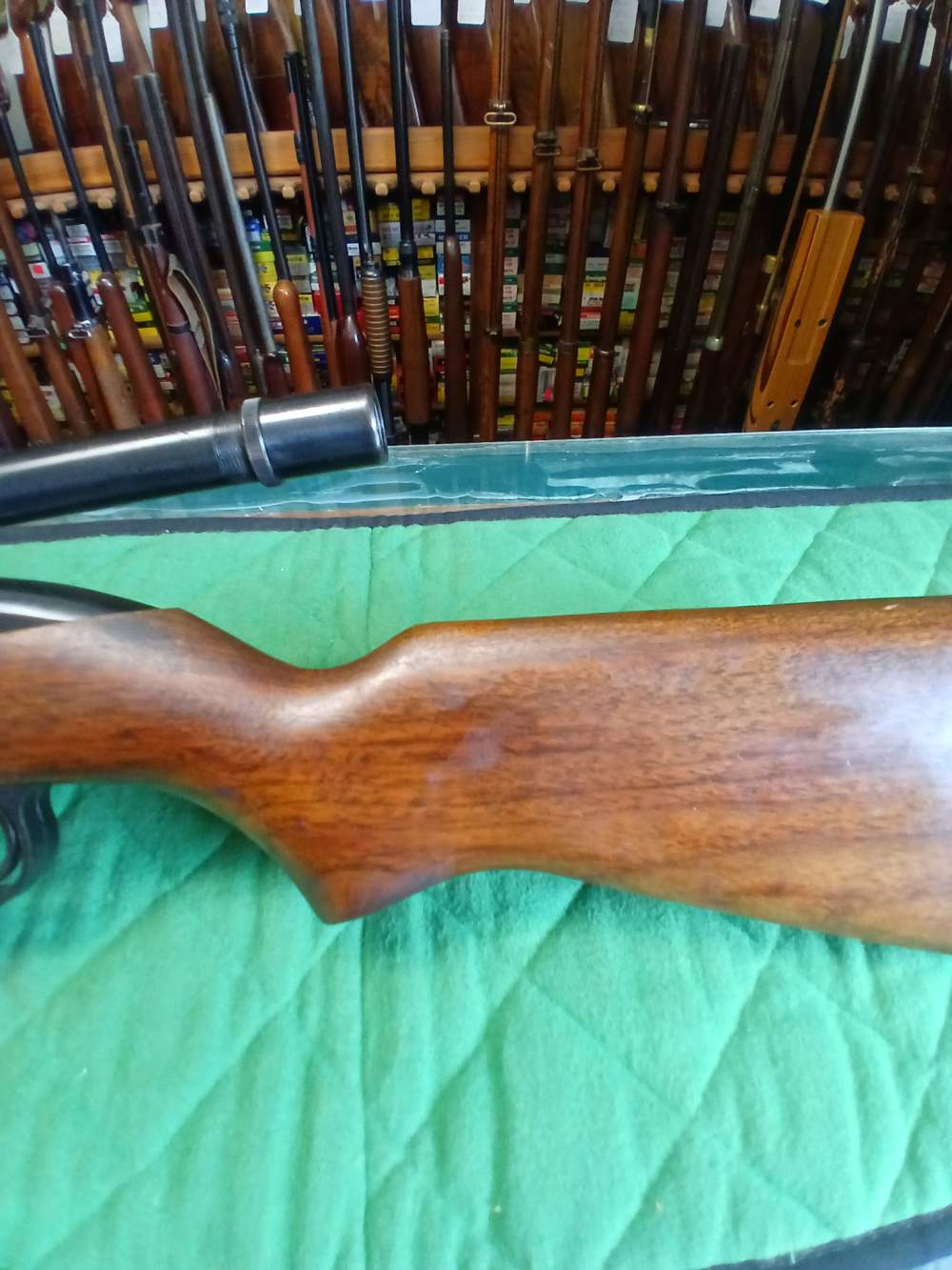 Winchester Model 77 22LR-img-12