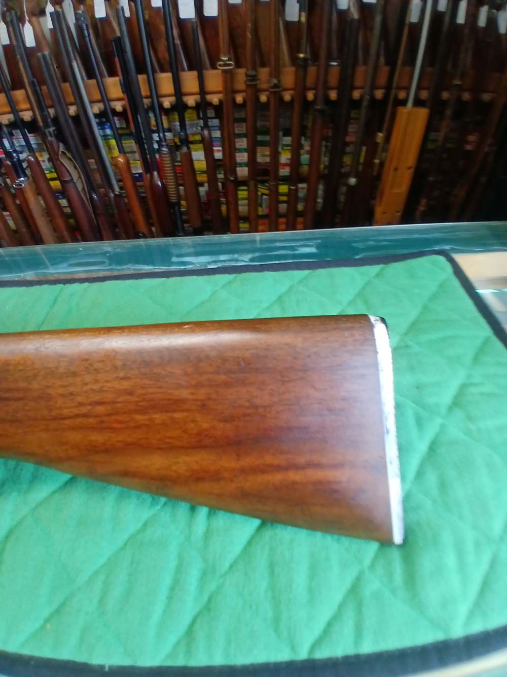 Winchester Model 77 22LR-img-16