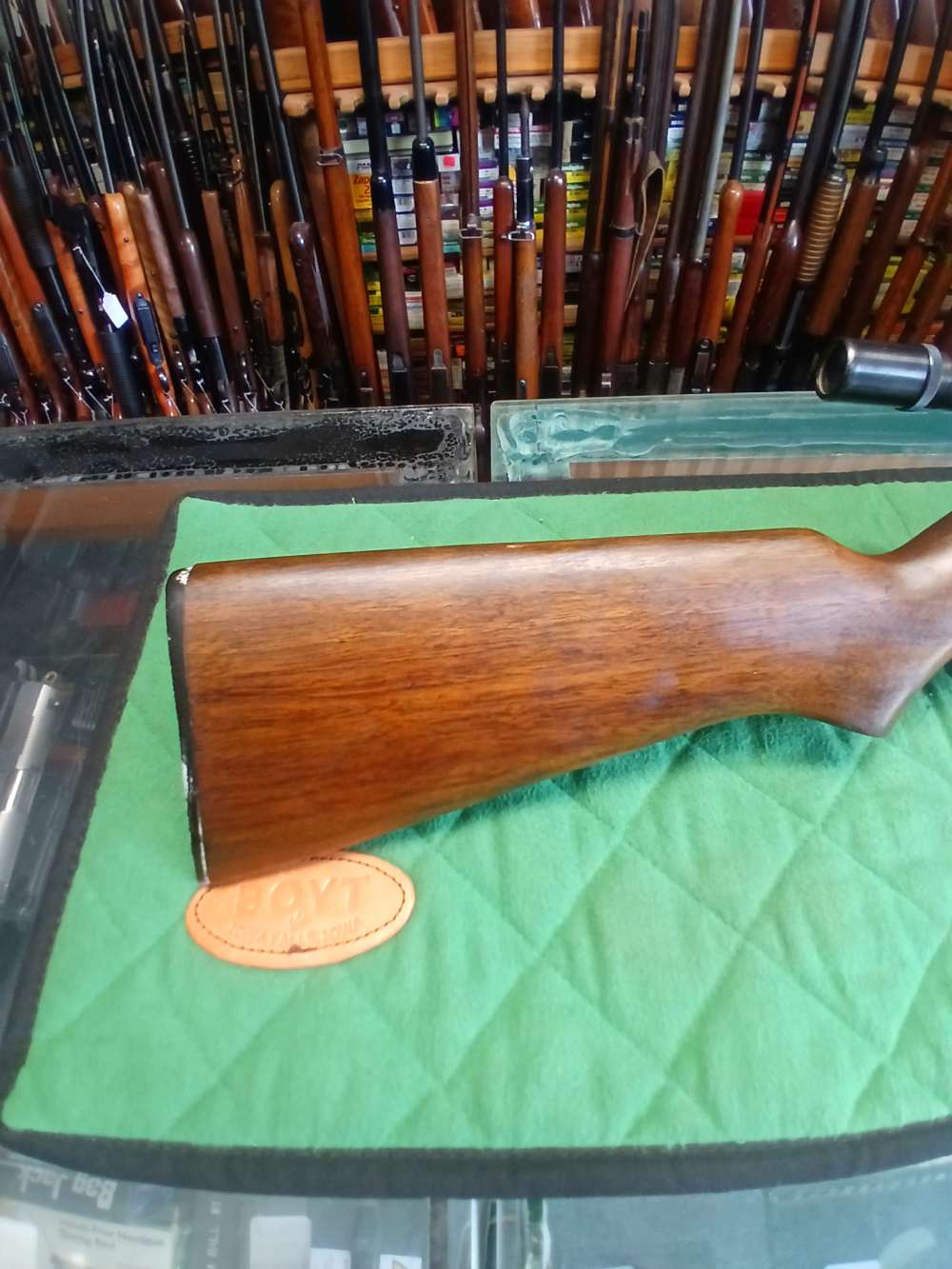 Winchester Model 77 22LR-img-2