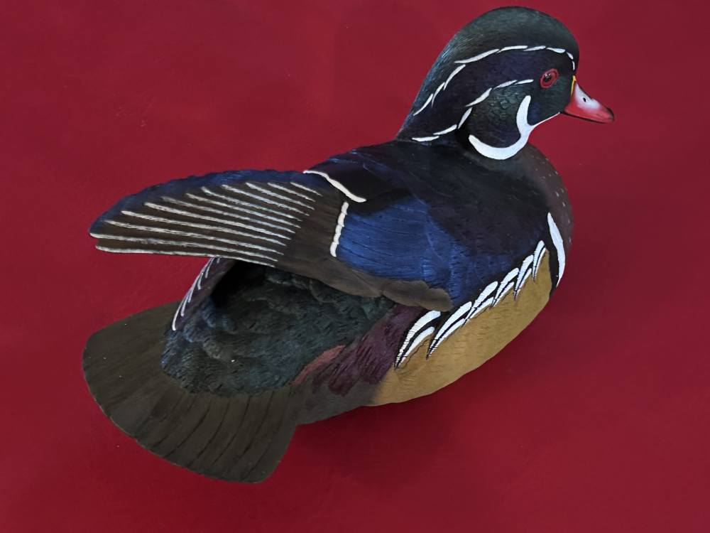 John A. Boullt Collection Limited Edition NWTF Wood Duck Decoy #32 of 2500 -img-3