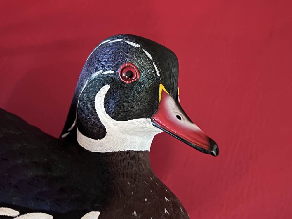 John A. Boullt Collection Limited Edition NWTF Wood Duck Decoy #32 of 2500 -img-5