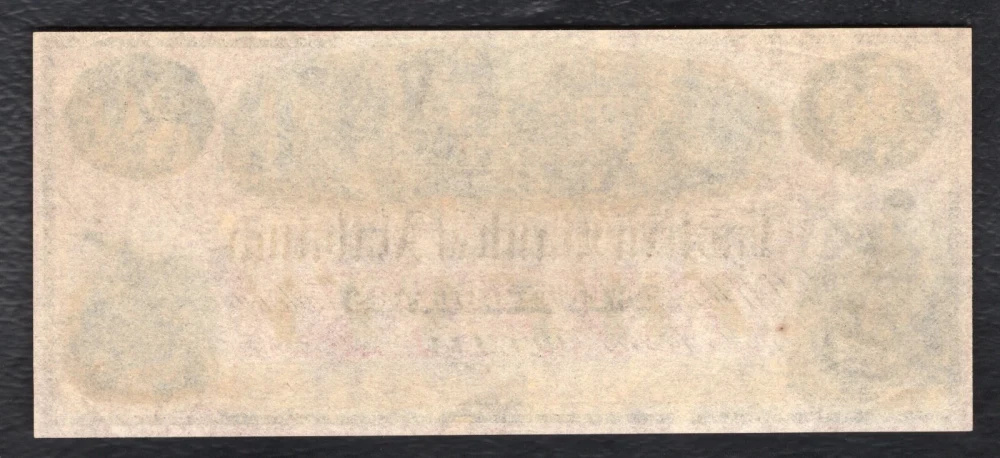1800s $20 Alabama Bank Note Money Currency-img-1