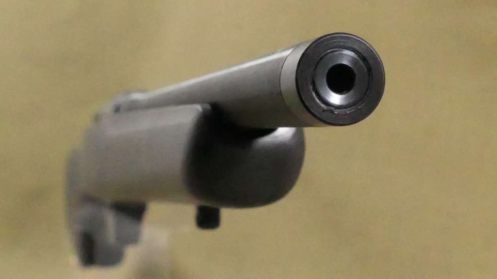 Tikka - T1X Left Hand With Vortex Diamondback - 22 LR - 16" -img-16