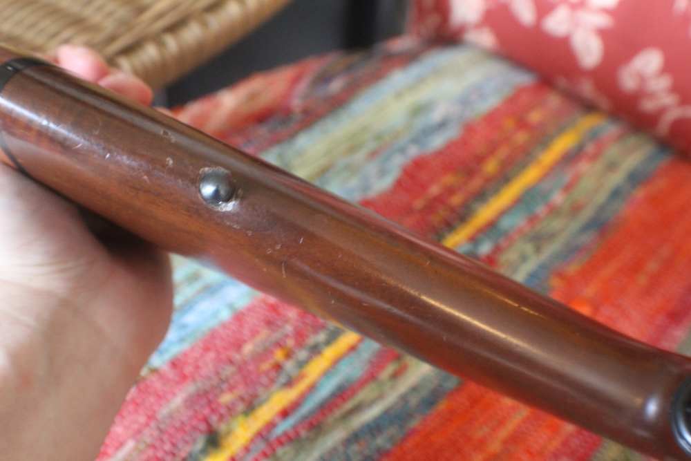 Winchester Model 70 Classic Featherweight 270 Winchester /22" FLuer De Lis -img-28