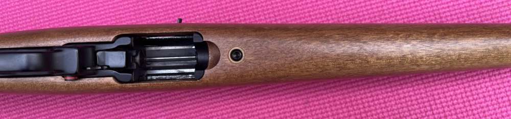 scoped Ruger 10/22 Carbine-img-13
