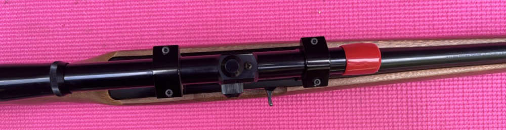 scoped Ruger 10/22 Carbine-img-18