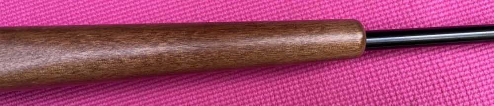 scoped Ruger 10/22 Carbine-img-14