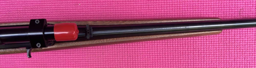 scoped Ruger 10/22 Carbine-img-19