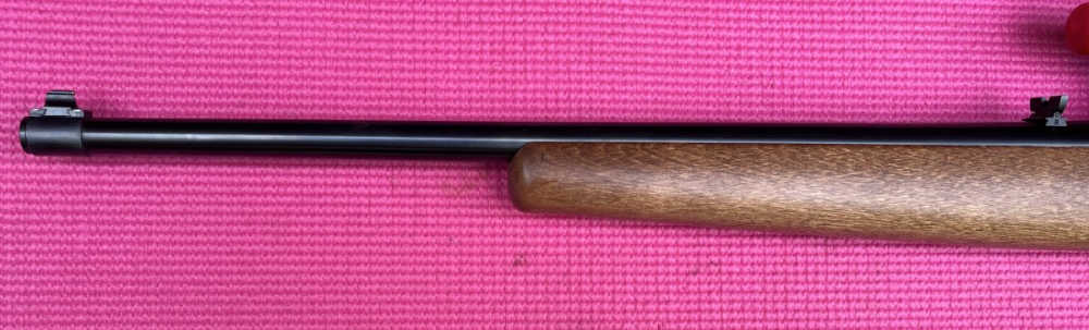 scoped Ruger 10/22 Carbine-img-4