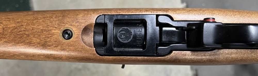 scoped Ruger 10/22 Carbine-img-23