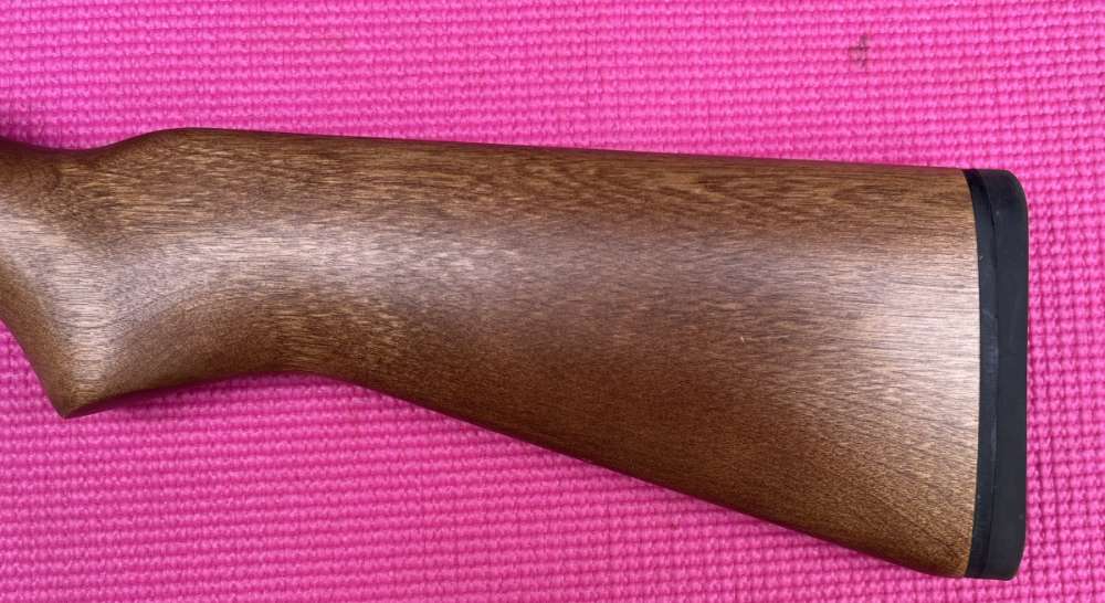 scoped Ruger 10/22 Carbine-img-1