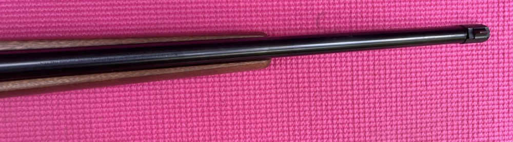 scoped Ruger 10/22 Carbine-img-20