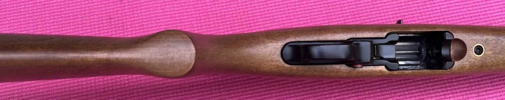 scoped Ruger 10/22 Carbine-img-12