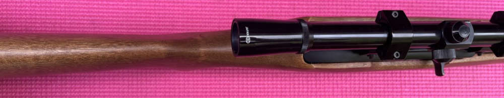 scoped Ruger 10/22 Carbine-img-17