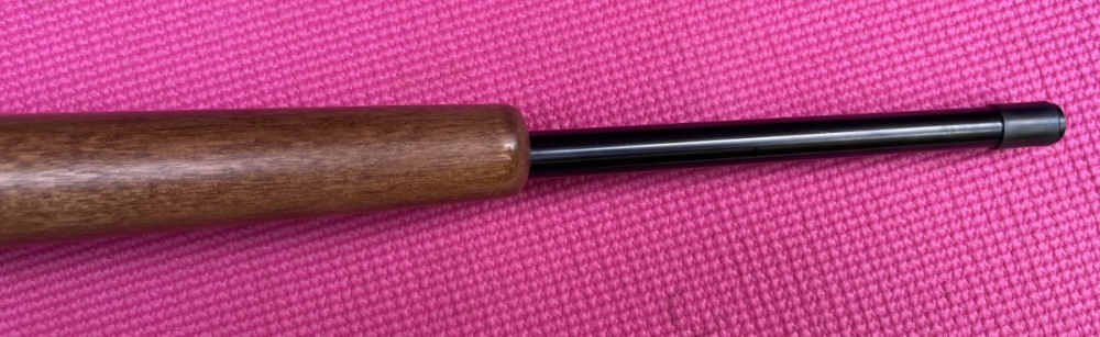 scoped Ruger 10/22 Carbine-img-15
