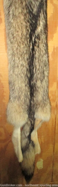 Timber Wolf Pelt - Free Shipping-img-2