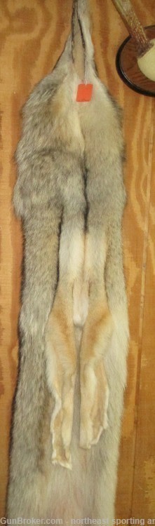 Timber Wolf Pelt - Free Shipping-img-4