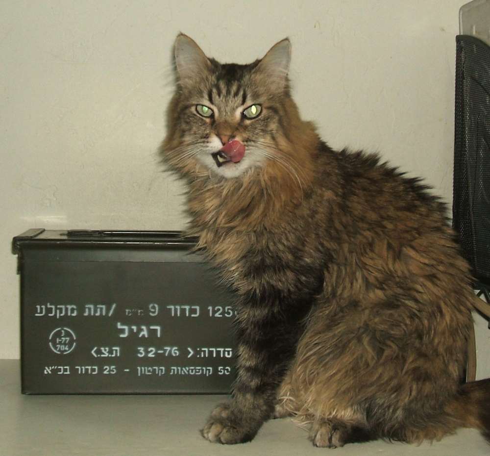 Vintage 1976 50 cal can IDF Uzi ammunition (empty) box SMG ammo Hebrew-img-9