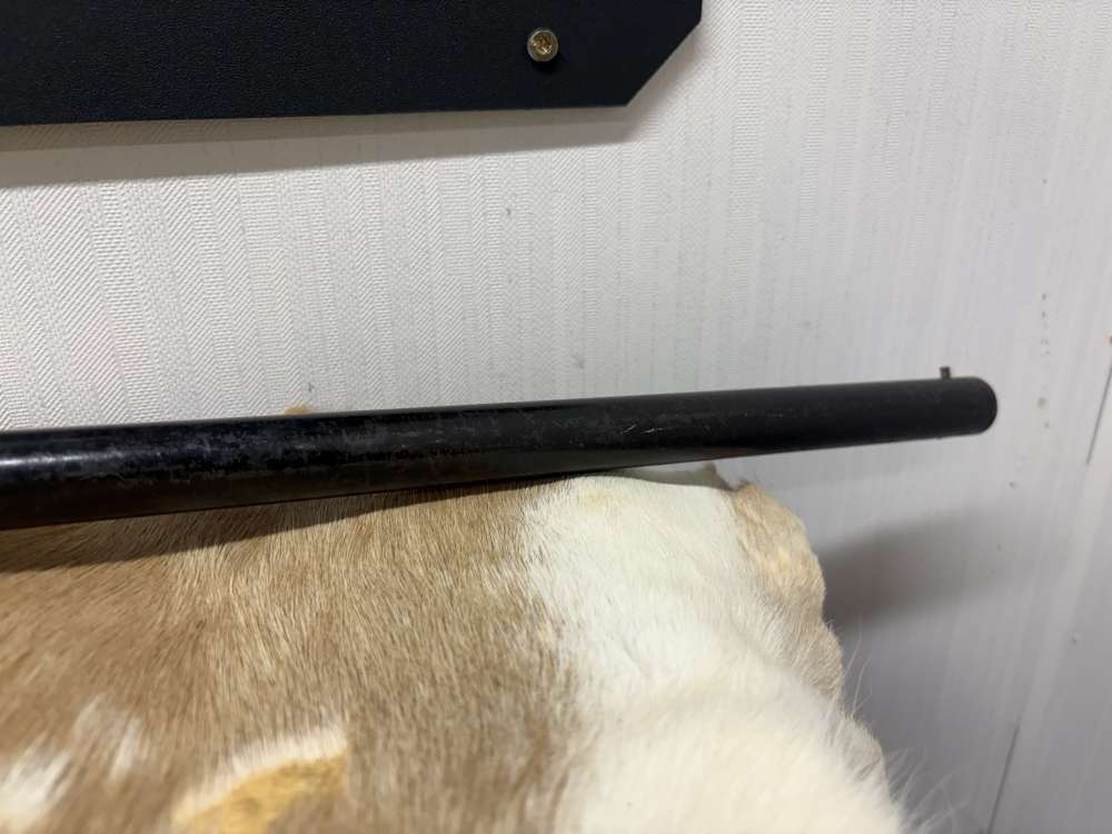 Mauser 12GA-img-16