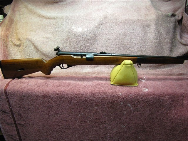 Mossberg 151 MC  22lr semi-auto-img-1