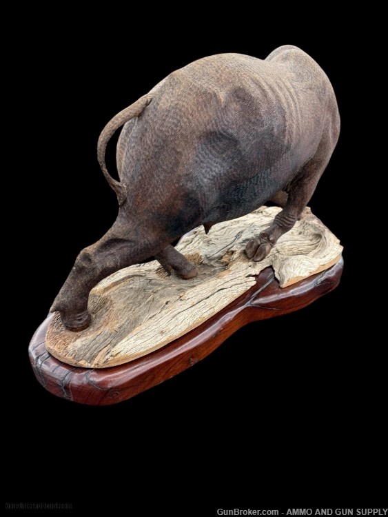 BEAUTIFUL - MOPHO GONDE - CAPE BUFFALO - LEADWOOD CARVED SCULPTURE-img-5