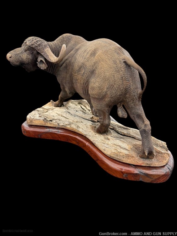 BEAUTIFUL - MOPHO GONDE - CAPE BUFFALO - LEADWOOD CARVED SCULPTURE-img-6