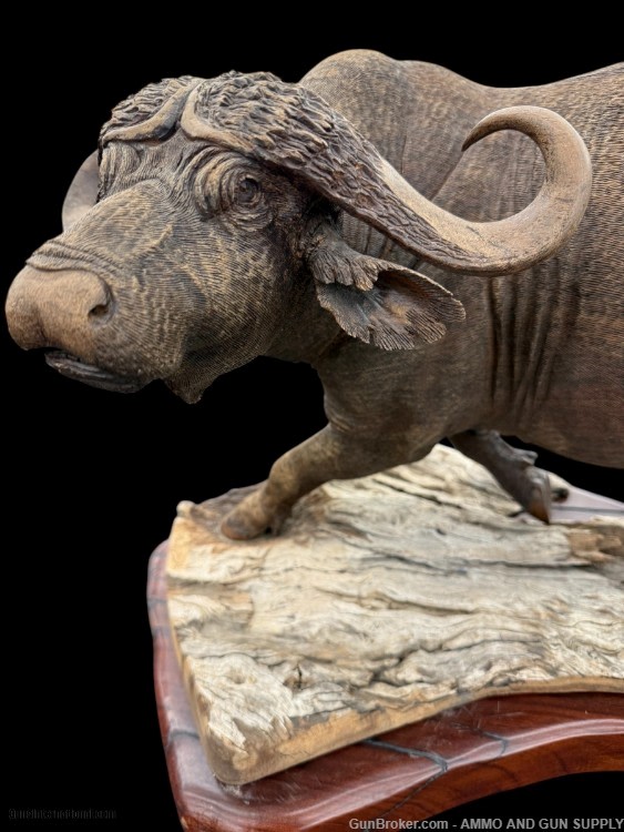 BEAUTIFUL - MOPHO GONDE - CAPE BUFFALO - LEADWOOD CARVED SCULPTURE-img-2