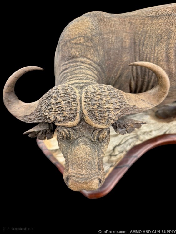 BEAUTIFUL - MOPHO GONDE - CAPE BUFFALO - LEADWOOD CARVED SCULPTURE-img-1