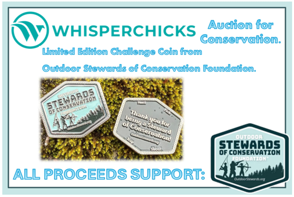 Two Suppressors (.22 and .556) from Whisperchicks and Outdoor Stewards -img-4