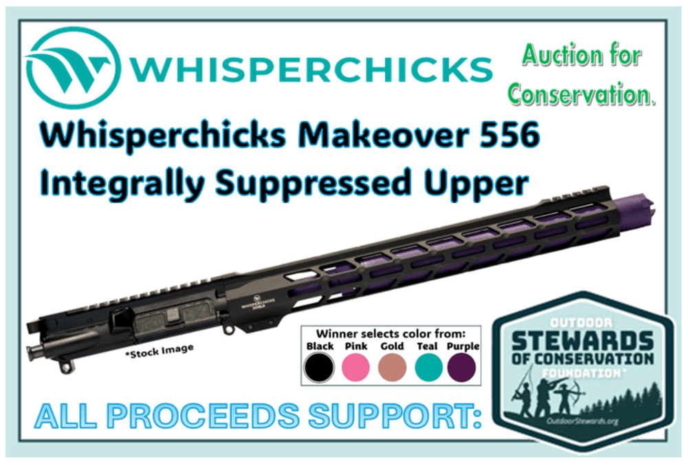 Two Suppressors (.22 and .556) from Whisperchicks and Outdoor Stewards -img-1