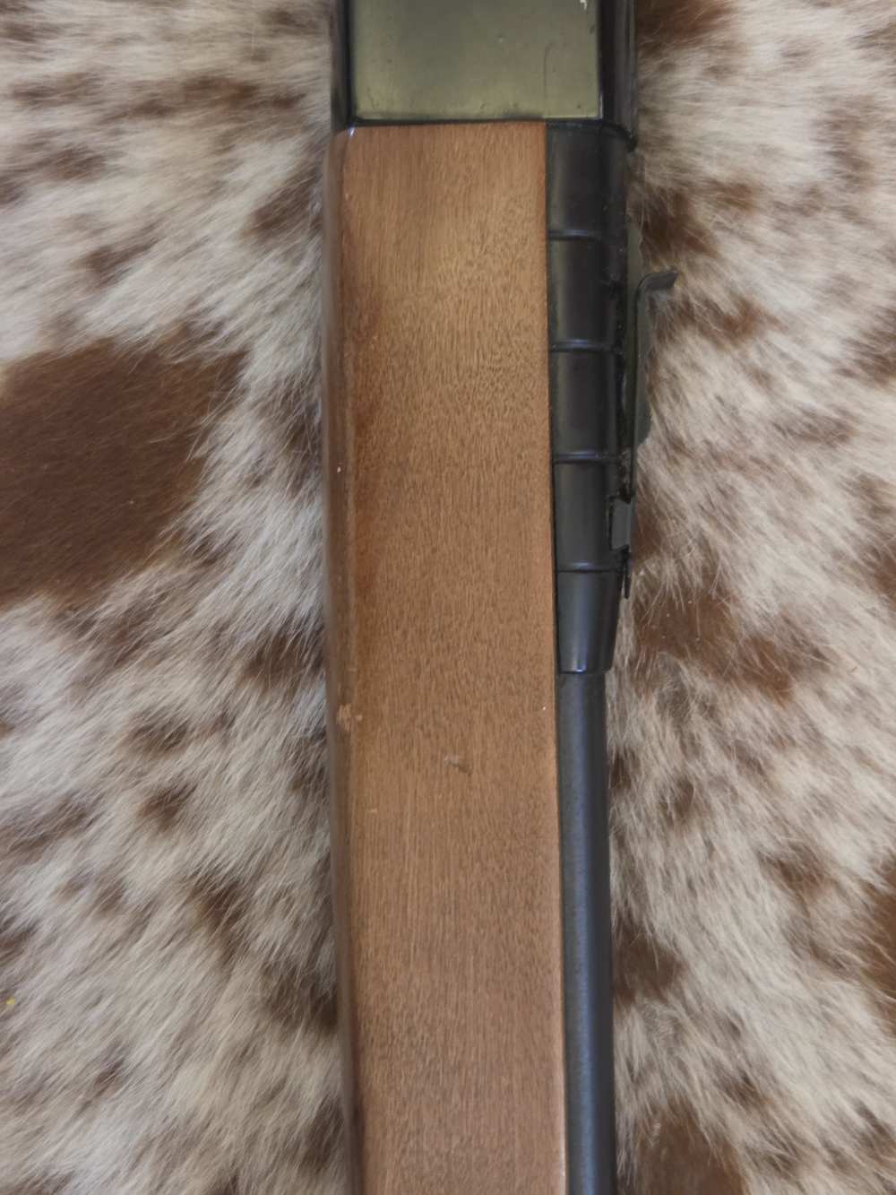 Sears Ted Williams 3T .22LR-img-3