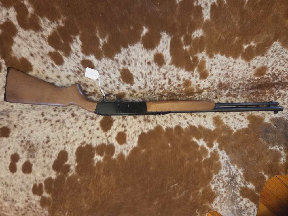 Sears Ted Williams 3T .22LR-img-8