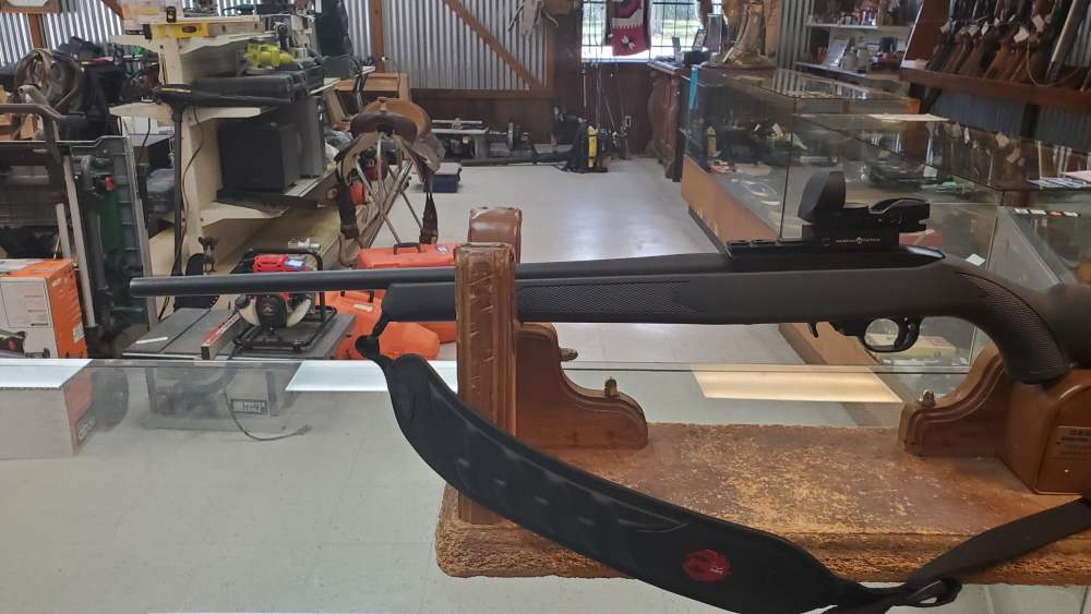 Ruger 10-22  with red dot scope 22lr-img-2
