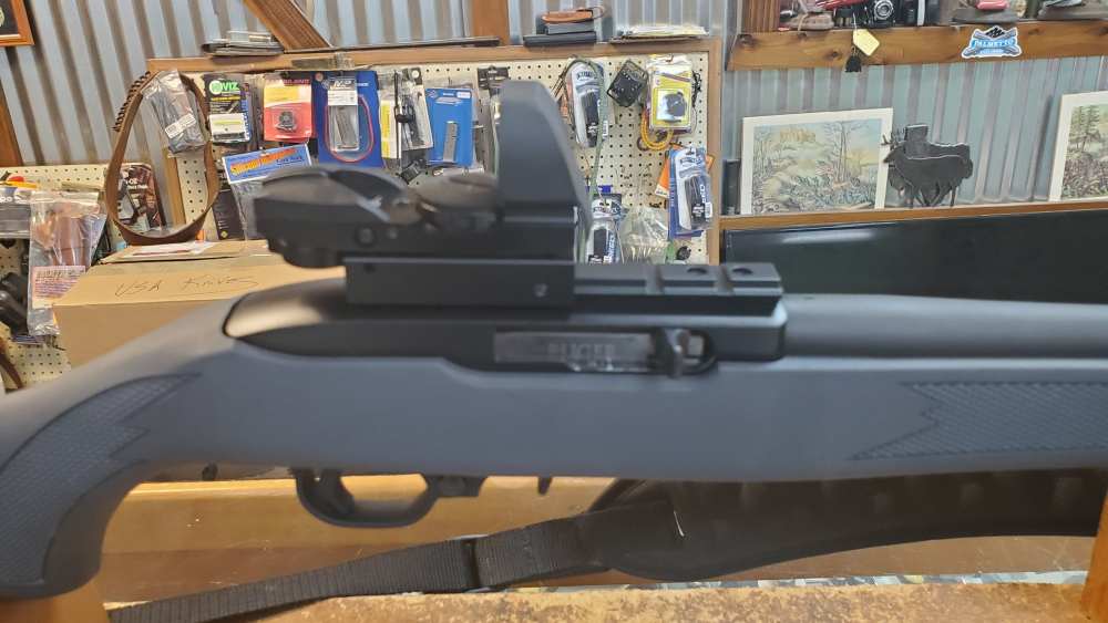 Ruger 10-22  with red dot scope 22lr-img-0