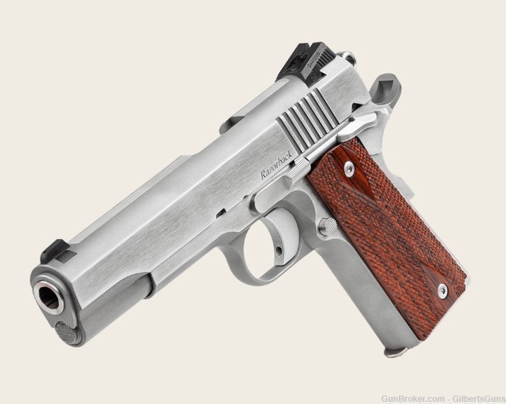 Dan Wesson Razorback Stainless 10mm Pistol With 5" Barrel & 2 Mags 01889-img-1