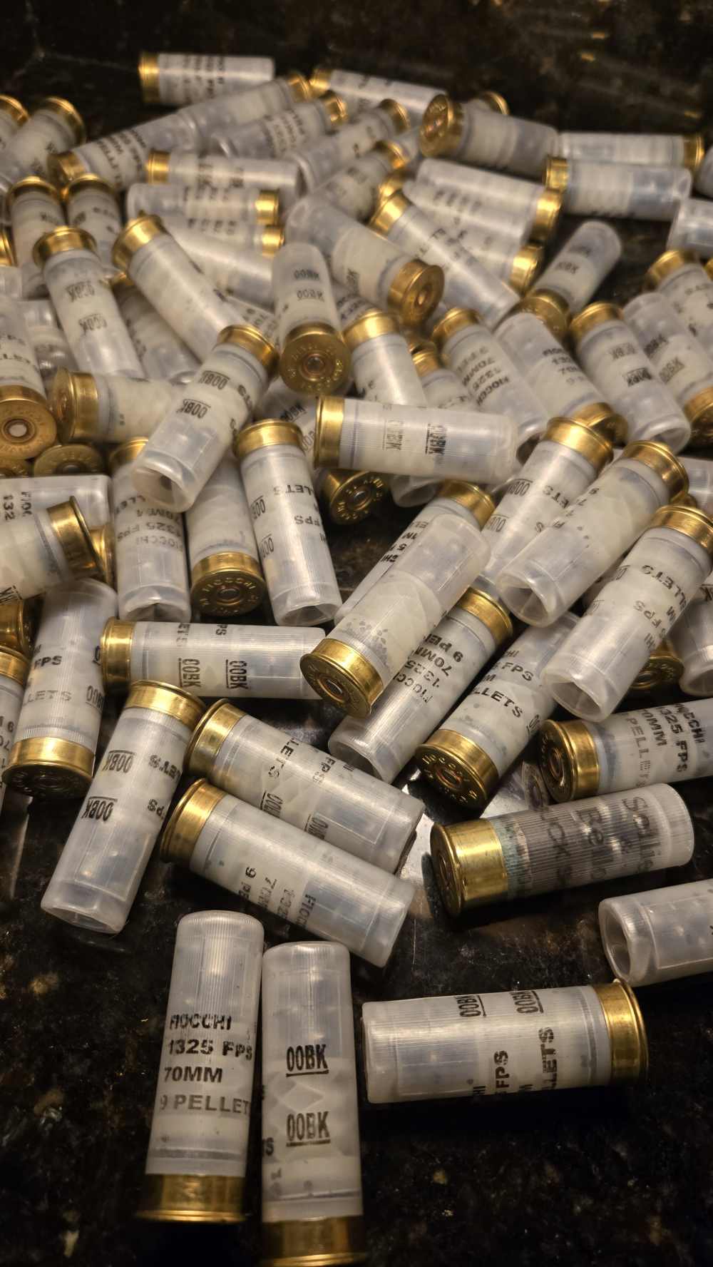 100 loose rounds Fiocci 12ga 00 buck-img-0