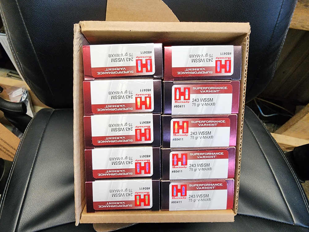 200 RD HORNADY SUPERFORMANCE 243 WSSM 75 GRAIN V-MAX WIN SUPER SHORT MAGNUM-img-0