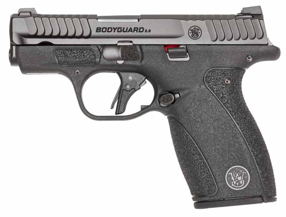 BODYGUARD 2.0 380ACP 12+1 NTS 13927-img-0