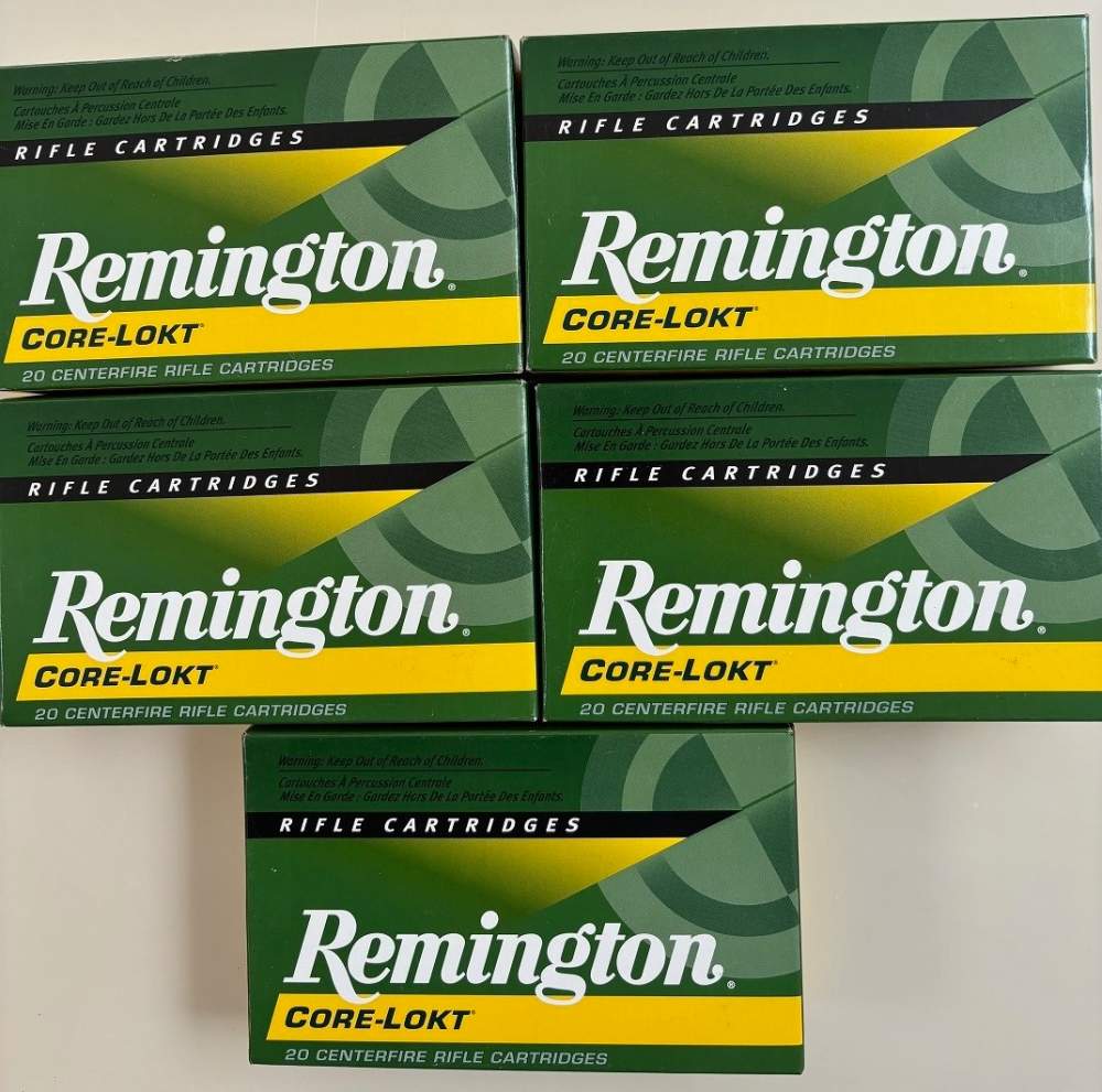 Remington .30-06 Core-Lokt PSP 165 gr  Brass Case 100 Rounds R3006B-img-1