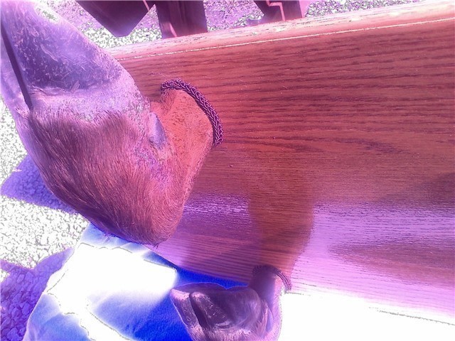 Elk leg double gun rack-img-6