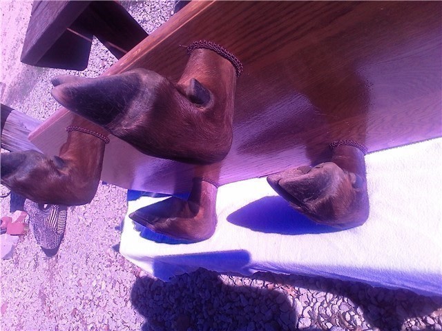 Elk leg double gun rack-img-1