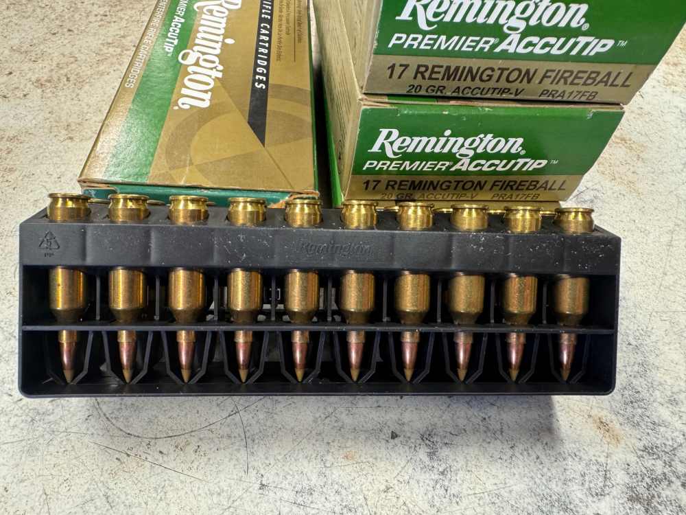 REMINGTON 17 REMINGTON FIREBALL 20gr accutip-v -img-1